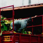 erreurs-a-eviter-crise-prix-carburant-featured