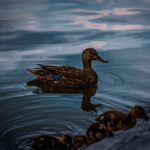 gerer-hausse-prix-energie-featured