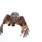 negociations-americaines-iraniennes-moyen-orient-featured