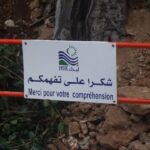 comprendre-elections-locales-uk-featured