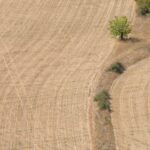 preparer-agriculture-evenements-climatiques-featured