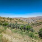 resilience-iran-featured