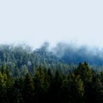 Comparaison des Risques d'Incendies et de Canicule en France risques-incendies-canicule-france-featured